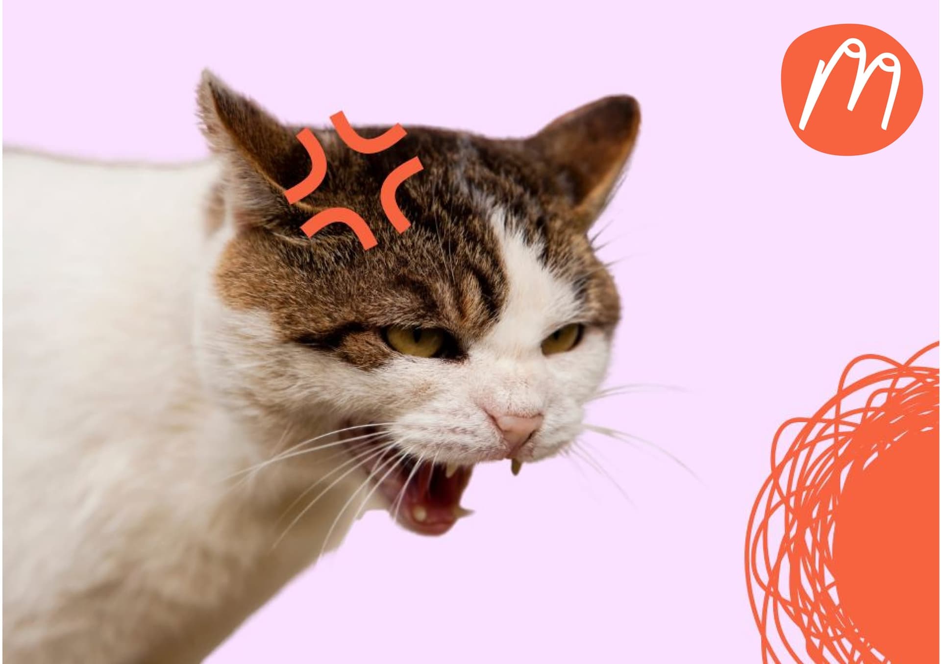 Why am I always so angry? Midlife anger!